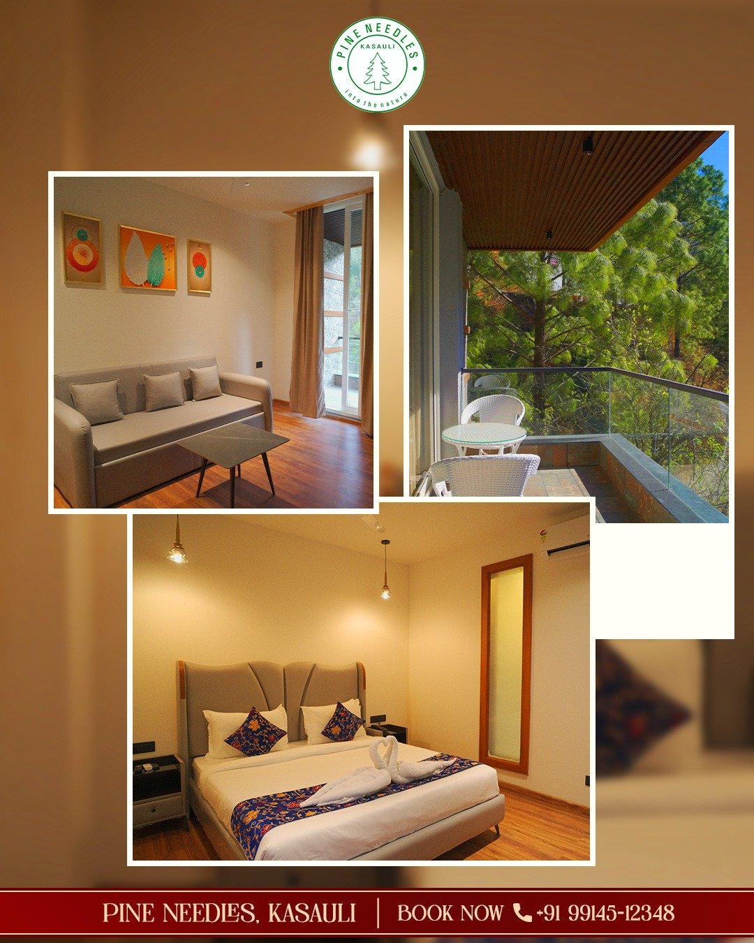 Warm room with wooden interiors and mountain light